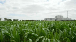 PlantGrow All Purpose Peat Free Compost - 900L Bulk Bag 10 PlantGrow All Purpose Peat Free Compost - 900L Bulk Bag -Grosafe Shop 2093270281 jpg