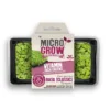 Micro-Grow Kit - Basil 2 Micro-Grow Kit - Basil -Grosafe Shop basil classic jpg