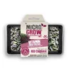 Micro-Grow Kit - Red Cabbage -Grosafe Shop red cabbage jpg
