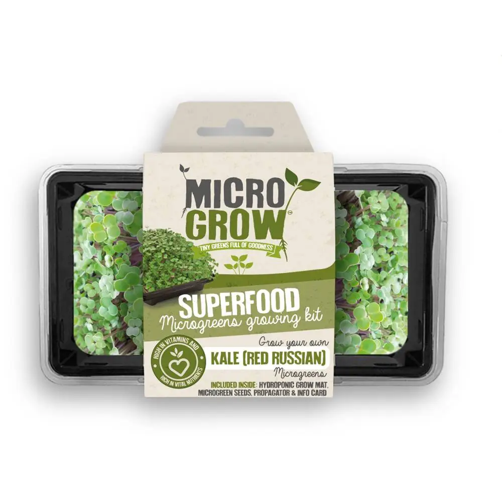 Micro-Grow Kit - Kale (Red Russian) 3 Micro-Grow Kit - Kale (Red Russian)