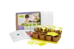 Sembra Kids Herbs Garden Growing Play Kit -Grosafe Shop traditional garden games sembra big herbs kit open web 1 png