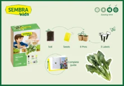 Sembra Kids - Spinach - Vegetable Garden Kit -Grosafe Shop traditional garden games sembra spinach kit contents web png