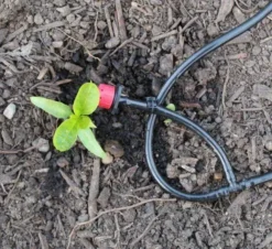 WaterMate Pro Automatic Greenhouse & Polytunnel Watering System -Grosafe Shop watermate dripper 2 600x549 1 jpg