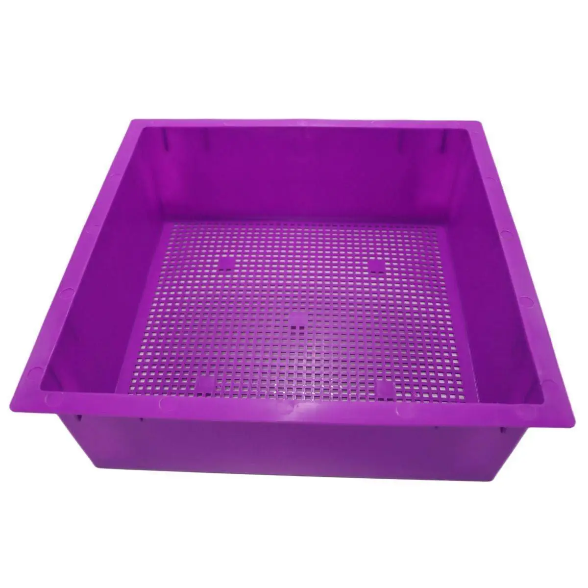 Tiger Wormery Tray In Purple 3 Tiger Wormery Tray In Purple