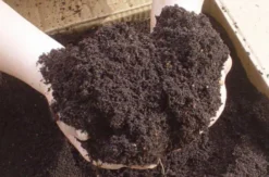 Living Green Worm Compost 100% Organic Vermicompost 40L Bag 8 Living Green Worm Compost 100% Organic Vermicompost 40L Bag -Grosafe Shop worm castings 1 jpg